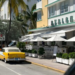 Miami's Best & Only 6 hr VIP Full Day City Land Tour!