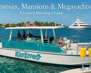 Mimosas, Mansions & Megayachts Tour