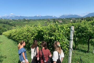 Premium Private Prosecco Hills Tour - 2 Wineries. Private tour.