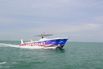 Save 5.01%! Port Everglades Speed Boat Cruise