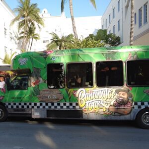 The Official Miami City Tour Small Group Experience with Pickup