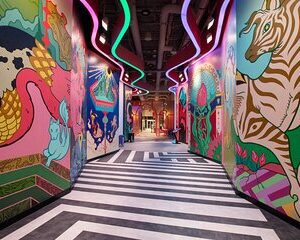 The Real Unreal at Meow Wolf Grapevine