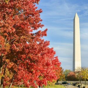 Washington DC Monuments Self-Guided Walking Audio Tour