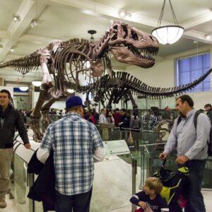 Washington DC Museum of Natural History Private Family tour