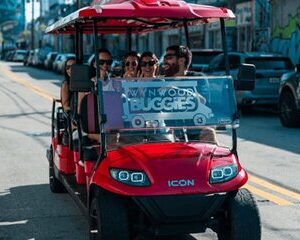 Wynwood Buggy and Little Havana Tour with Time for Lunch
