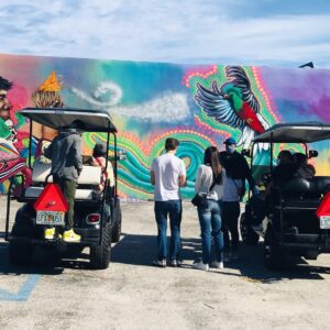 Wynwood Graffiti Golf Cart Small-Group Tour