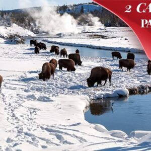 Yellowstone & Grand Teton National Parks Winter Tour: Small Group 4-Day Tour