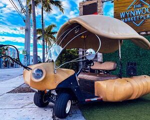 1 Hour Lady Buggy Art Tour Experience in Wynwood