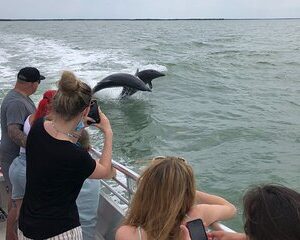 10,000 Islands Boat Excursion - 3.5-Hour Dolphins & Shelling Tour