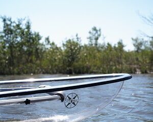 2-Hour Glass Bottom Guided Eco Tour in Flagler County-Small-group