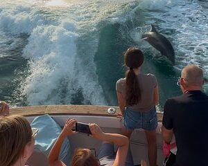 2 Hour Private Dolphin Sightseeing Tour