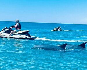 2 Hour Shell Island Jet Ski Dolphin Tour