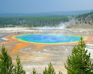 3 Day VIP Small Group Tour of Yellowstone and Grand Teton