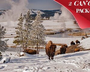 3 Day Yellowstone, Grand Teton Winter Discovery Small Group Tour