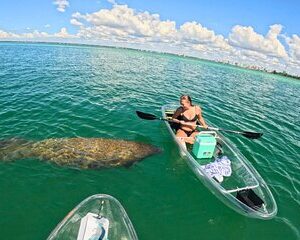 3-Hour Clear Kayak Beach Hopping Adventure in Sarasota
