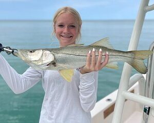 4-Hour Private Inshore Fishing Trip in Sarasota