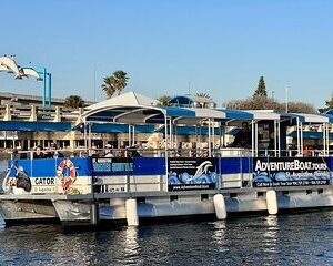 Adventure Boat Tours Dolphin Tails & History Cruise St Augustine