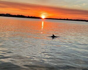Adventure Boat Tours - Sunset Water Tour in St. Augustine