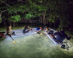 Anna Maria Island - Clear Kayak LED Night Glass Bottom Tour