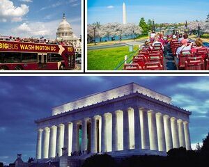Best of DC: Hop-on Hop-off, Night Tour, and Arlington Audio Guide