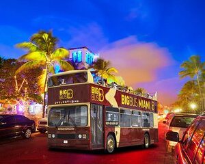 Big Bus Miami: Sightseeing Night Tour by Open-top Bus
