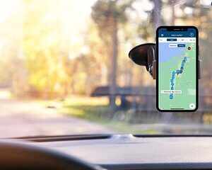 Big Cypress National Preserve Self Guided Driving Audio Tour