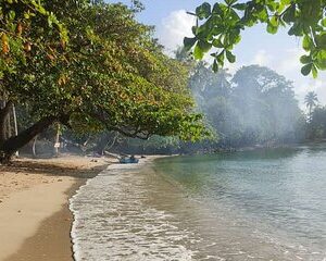 Caribbean Beach Venas Azules - Playa Blanca