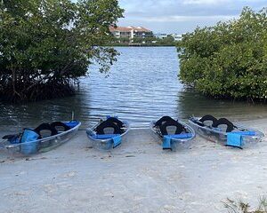 Clear Kayak Eco Tour in Jupiter, Florida