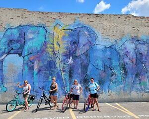 Dallas Electric Bike Rental