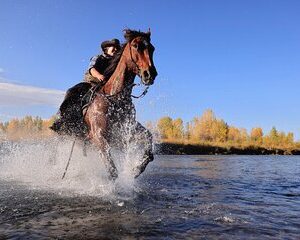 Dinner Cookout Ride at Heart Six Ranch