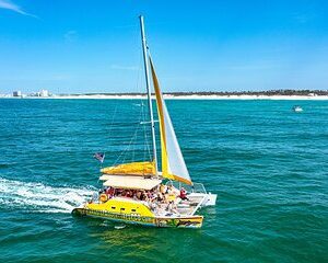 Dolphin Sightseeing Tour on The Footloose Catamaran from Panama City Beach