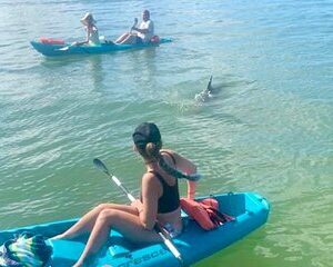 Dolphin and Manatee Kayak Tour of Daytona Beach