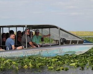 Everglades Small-Group Tour from Miami with Transportation