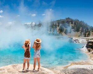 From Jackson Hole: Yellowstone Old Faithful, Waterfalls and Wildlife Day Tour