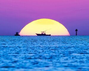 Ft Lauderdale to Islamorada Tour with Boat Ride and Lunch