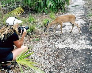 Full-Day Tour of Florida Keys Including Aquarium Encounters from Key West