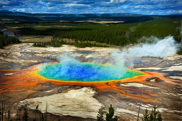 Full Day Yellowstone Lower Loop and Safari from Jackson Hole