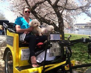 Grand Monuments & Memorials Tour