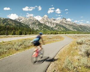 Grand Teton Full Day Private Wildlife & Biking Tour