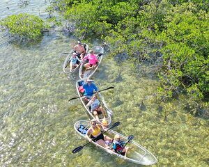 Guided Clear Kayak Eco-Tour Near Key West