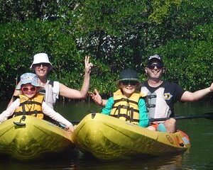 Guided Kayak Dolphin Eco Tour in Pelican Bay