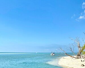 Half-Day Private Tiki Boat Beach Tour from Fort Myers