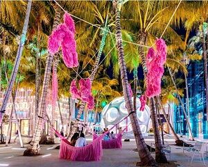 Hidden World of Miami Design District - small group tour!