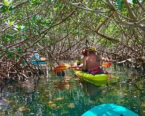 Key West Clear Kayak Eco Tour