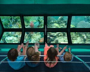 Key West Glass-Bottom Boat Tour with Sunset Option