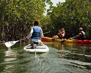 Key West Hidden Sanctuary Mangrove Kayak Tour With Drinks