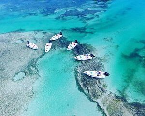 Key West Safari Eco Sandbar Tour Adventure with Snorkeling