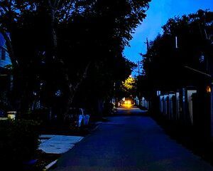 Last Stand Walkabout Tour