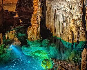Luray Caverns Half Day Small Group Max 12 Tour Experience from DC