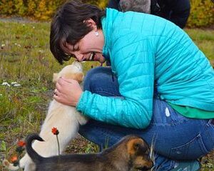 Mush Your Own Sled Dog Team (Summer/Fall Tour)